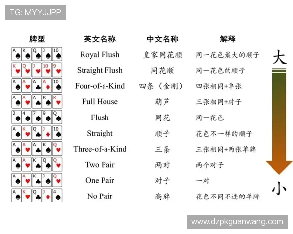 德州扑克技巧精华全面解析：从基础知识到高级技巧的系统学习指南